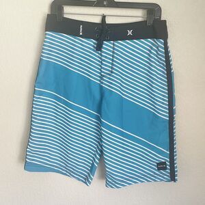 Hurley Shorts Mens Size 30 Blue Striped Summer Board Polyester Casual Drawstring